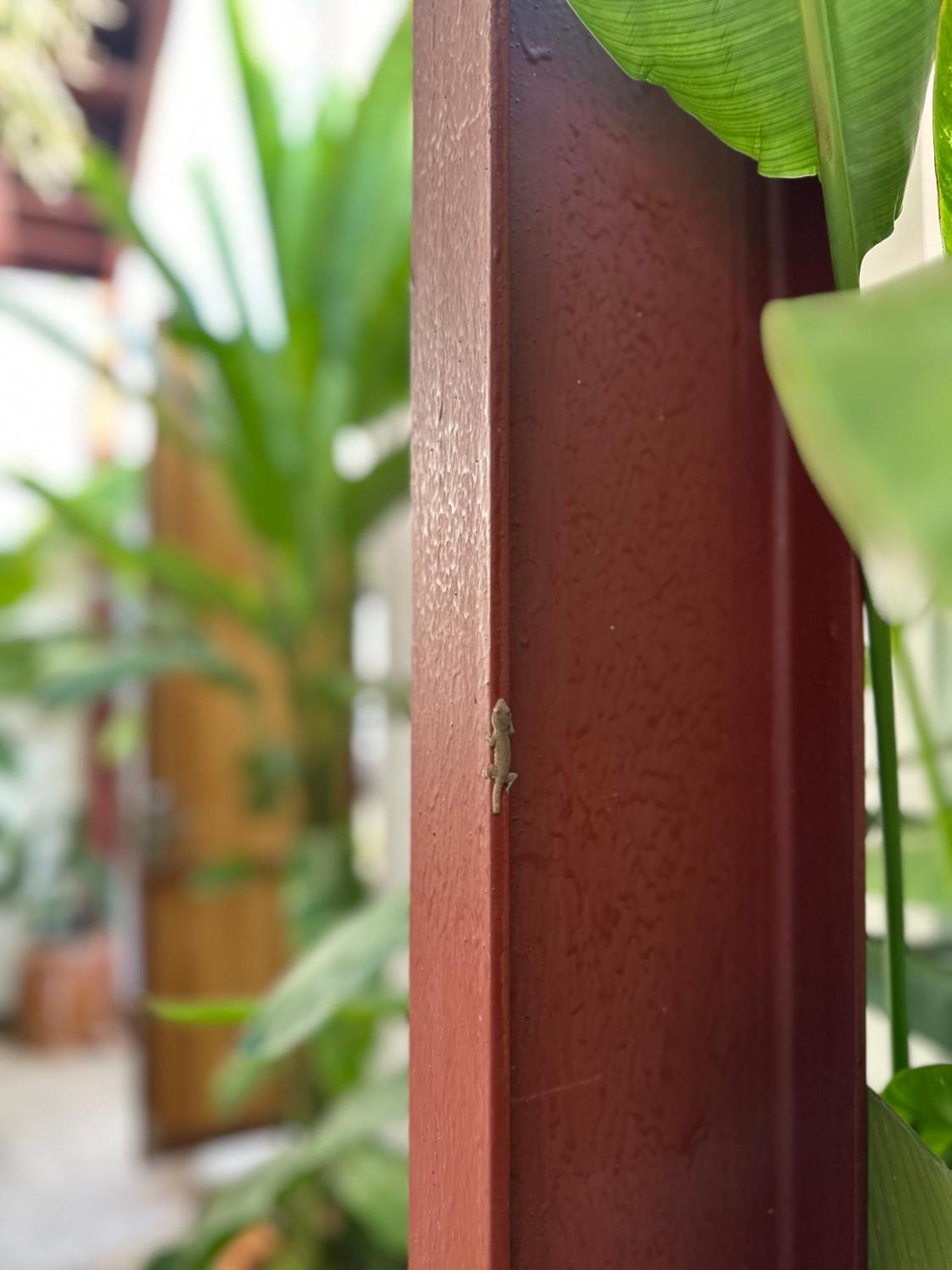 Palmcalina - Phuqui Beach House Cu Lao Thu Kültér fotó