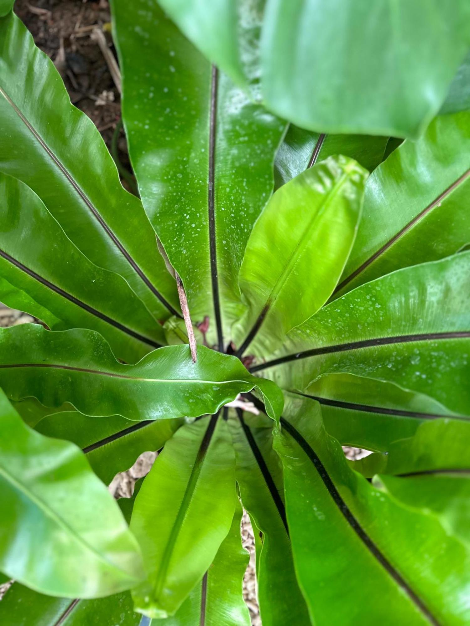 Palmcalina - Phuqui Beach House Cu Lao Thu Kültér fotó