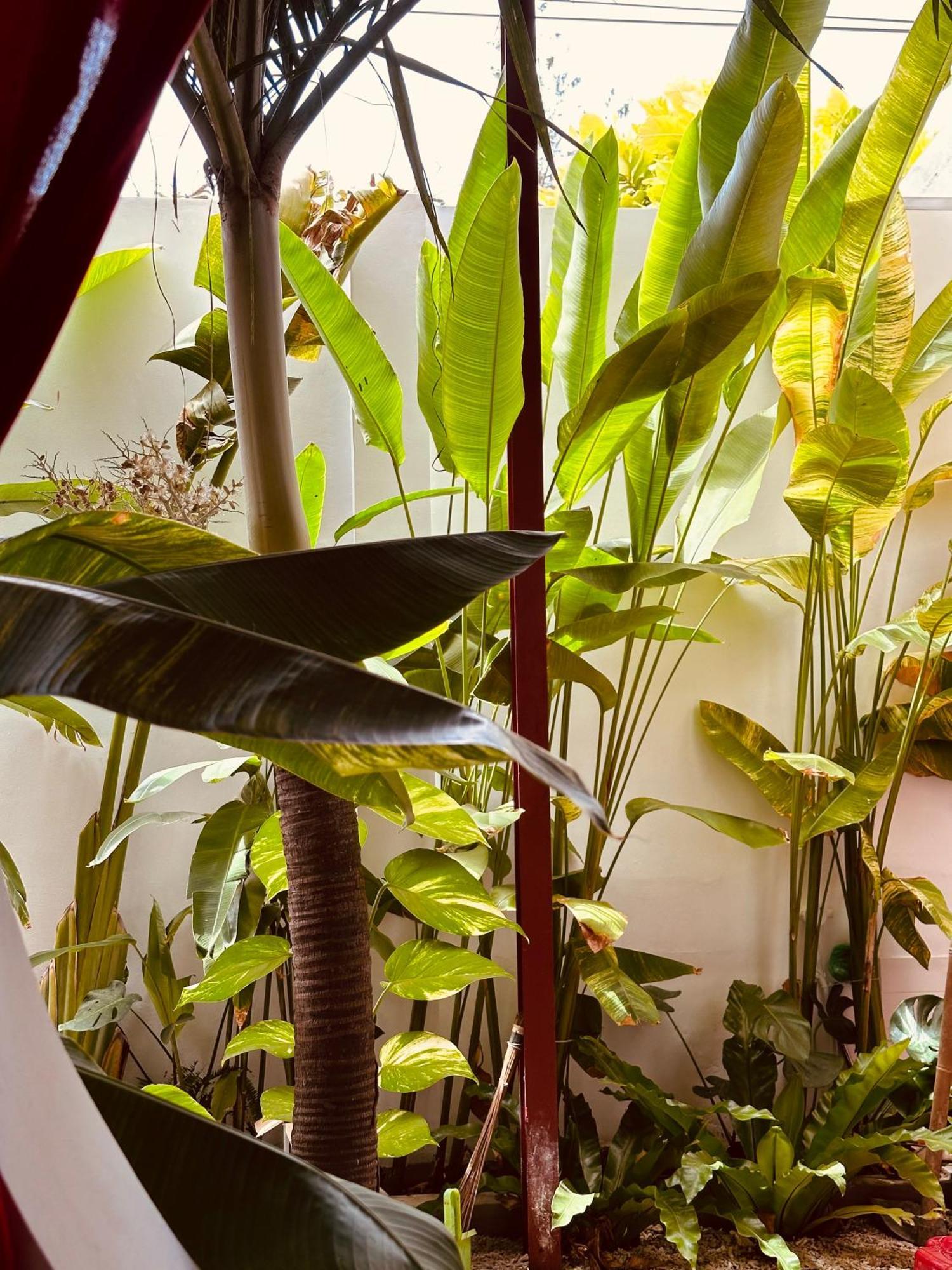 Palmcalina - Phuqui Beach House Cu Lao Thu Kültér fotó