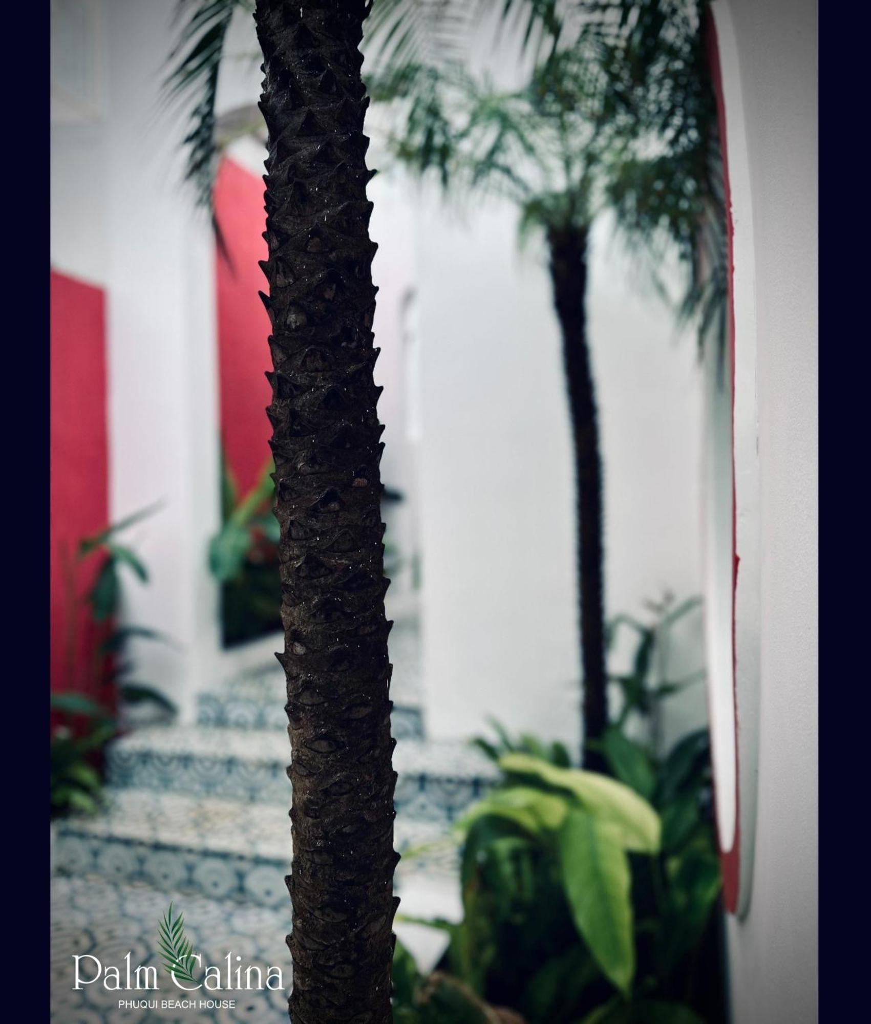 Palmcalina - Phuqui Beach House Cu Lao Thu Kültér fotó